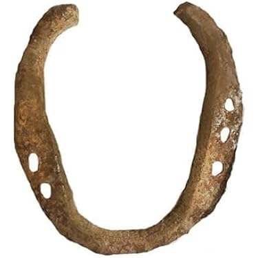 Amazon Best Sellers: Best Equestrian Horseshoes